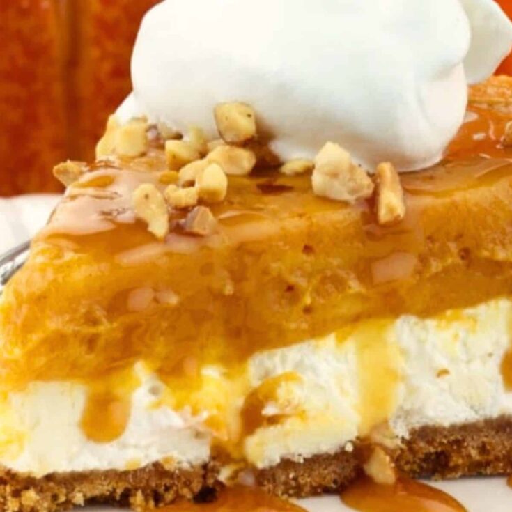 Pumpkin pie pudding&nbsp;made after reading these Fresh pumpkin recipes