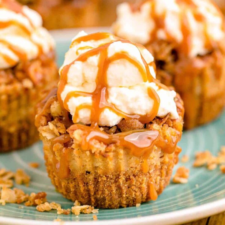 Delicious mini caramel apple made after reading these cheesecakes Bite sized desserts