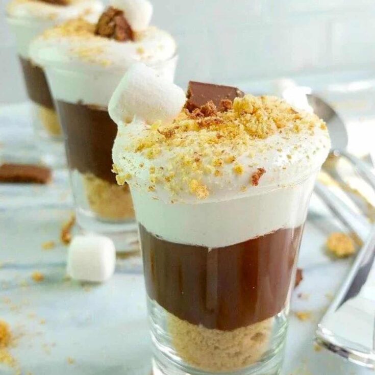Easy no bake smores cups made after reading these Mini dessert cups