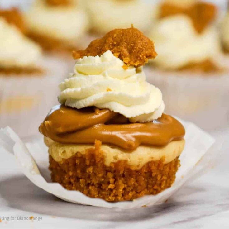 Mini Biscoff cheesecakes made after reading these Bite sized desserts