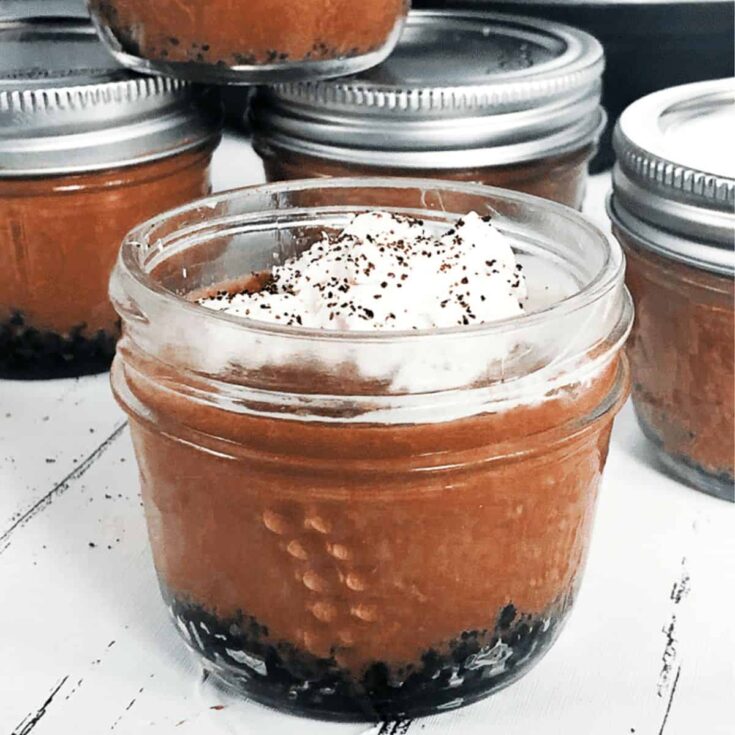 Mini Instant Pot chocolate cheesecakes made after reading these Mini dessert cups