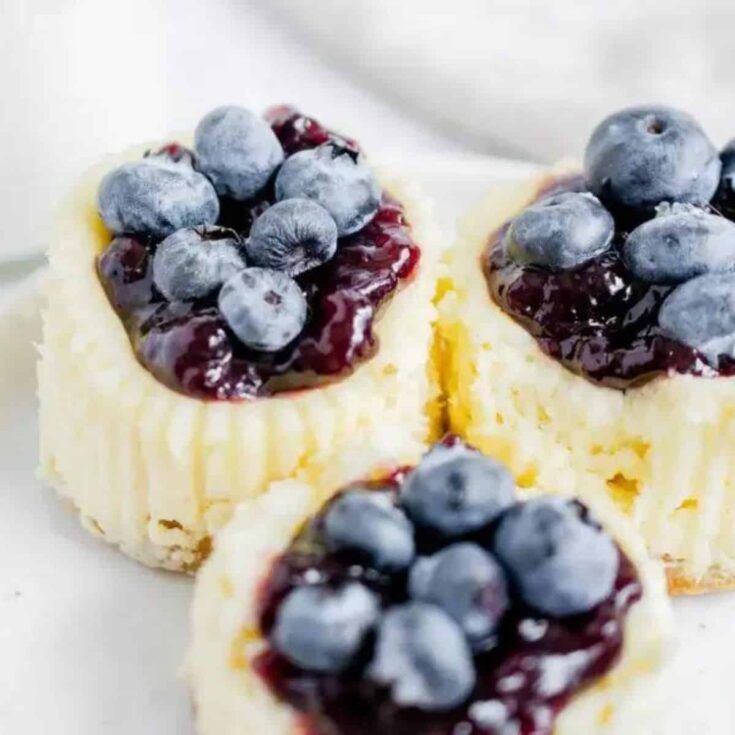 Mini blueberry cheesecake made after reading these Bite sized desserts