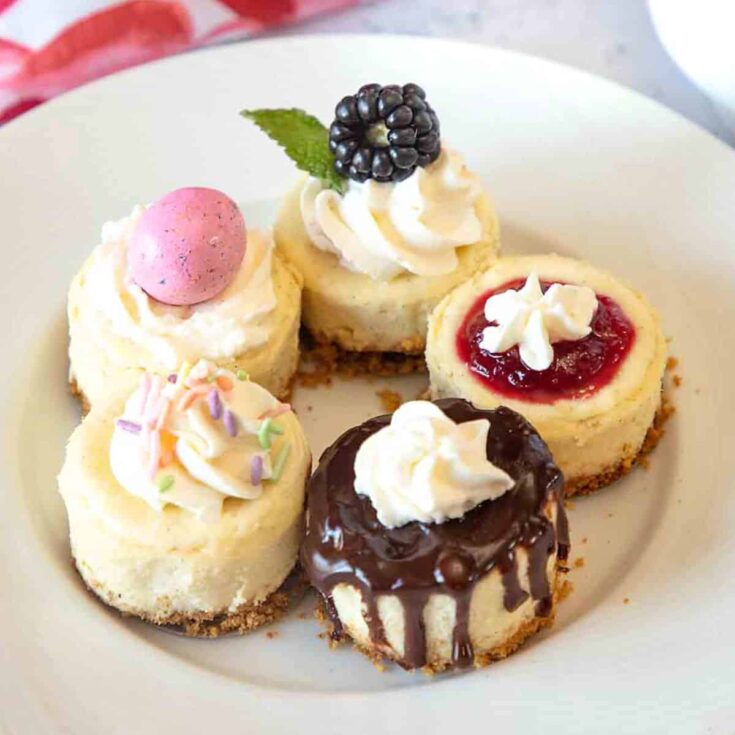 Mini cheesecake bites made after reading these Bite sized desserts