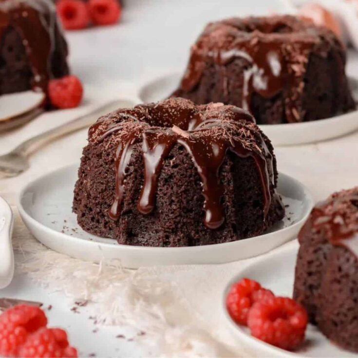 Mini chocolate Bundt cake made after reading these Bite sized desserts