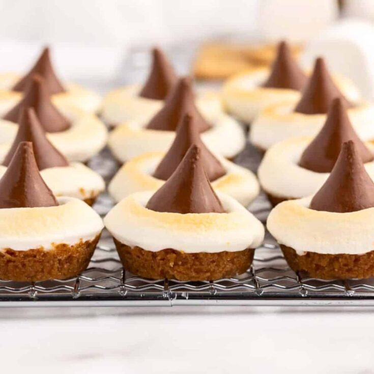 A tray of mini smores cups made after reading these Mini dessert cups