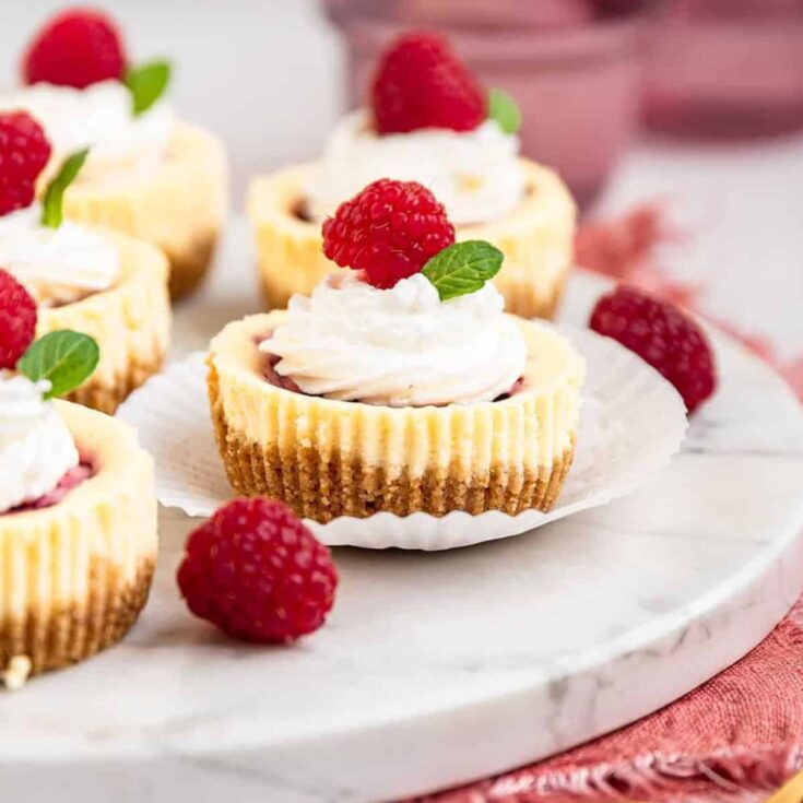 Raspberry swirl mini cheesecakes made after reading these Bite sized desserts