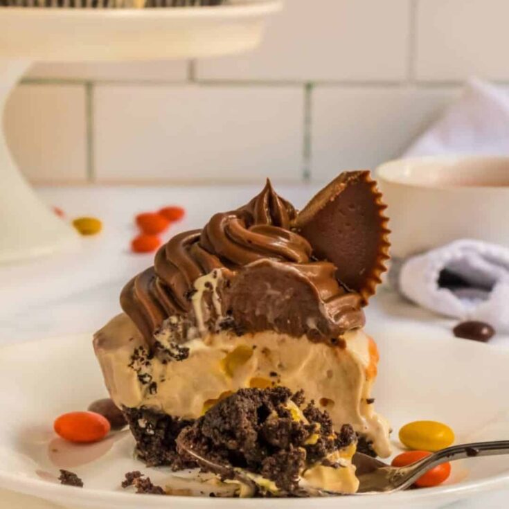 a close up of a reece's mini cheesecake, the perfect bite sized dessert