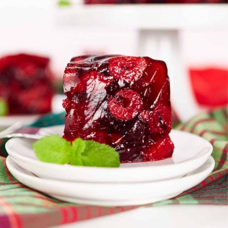 A slice of black cherry Jello mold