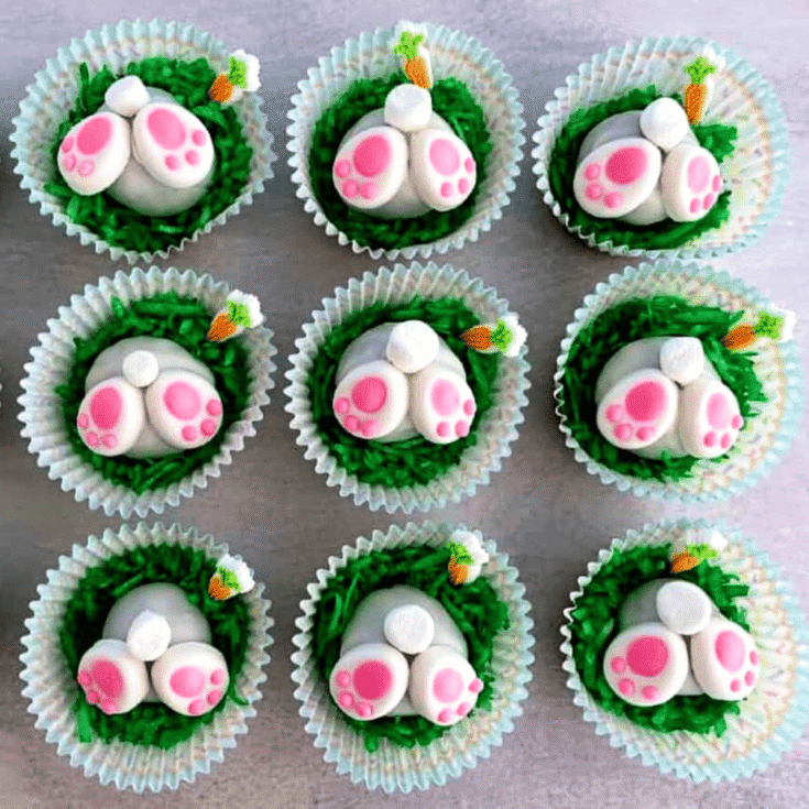 A set of bunny carrot cake bites