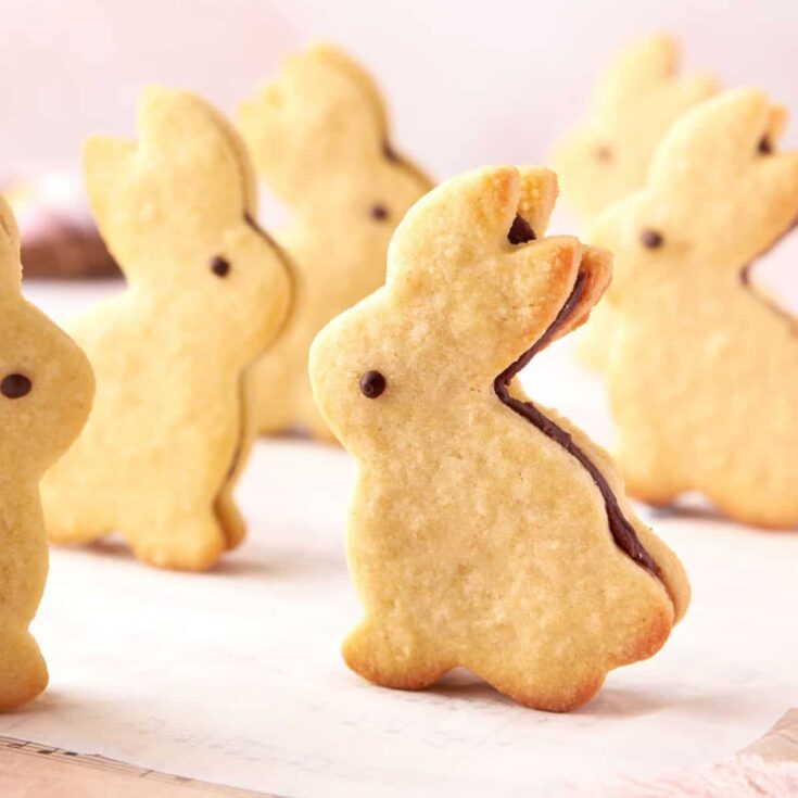 Bunny shaped cookies with chocolate filling