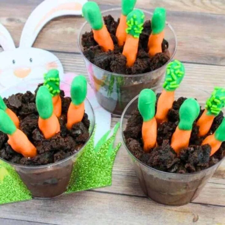 Carrot patch pudding cups