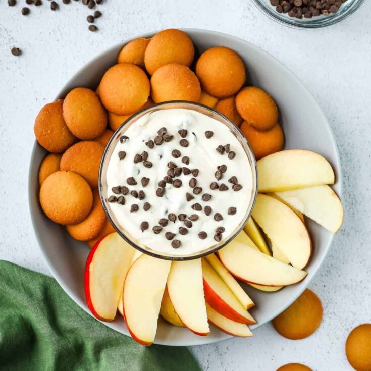 A bowl of chocolate chip cheesecake dip sided with sliced apples and biscuits