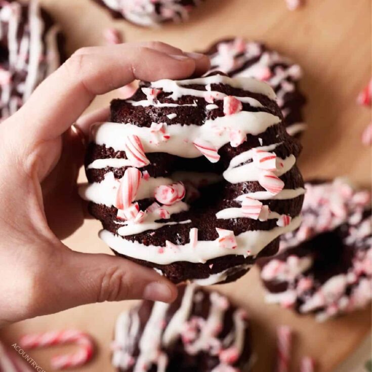 Chocolate peppermint mini Bundt cakes made after reading these Christmas Desserts