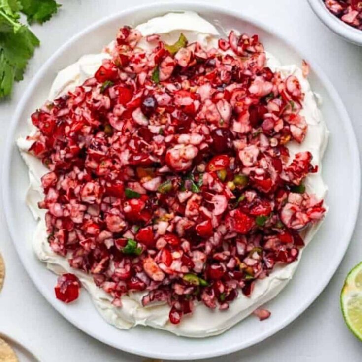 A plate of cranberry jalapeno dip