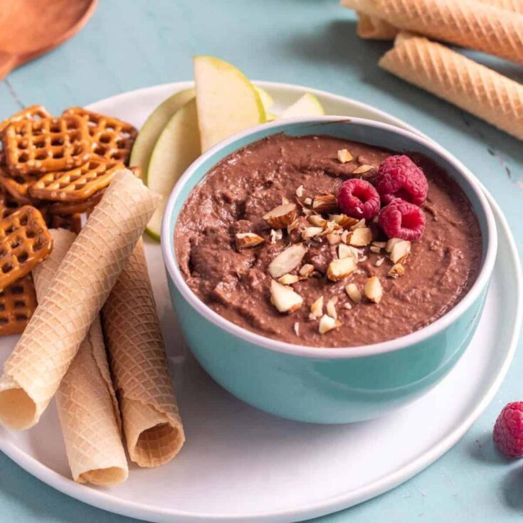 Creamy raspberry dark chocolate dessert hummus