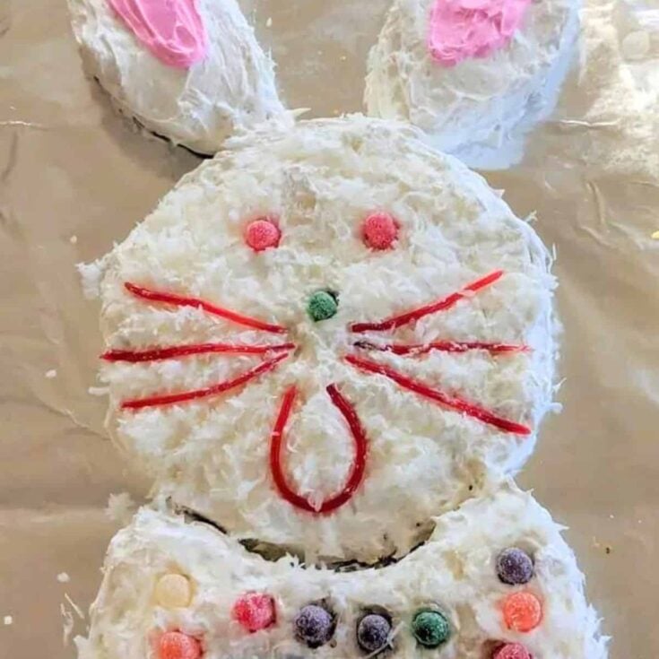 An easter bunny shaped cake