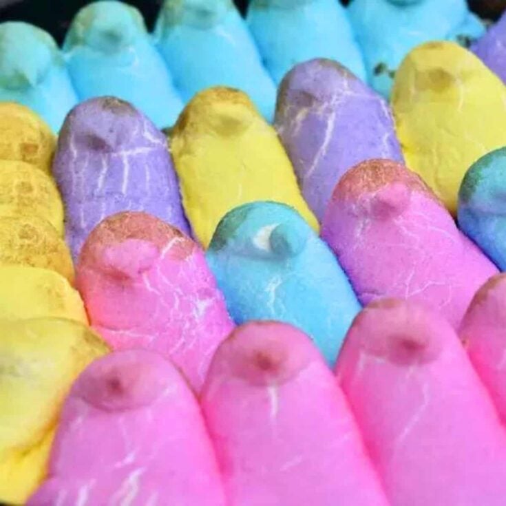 Colorful Easter peeps smores