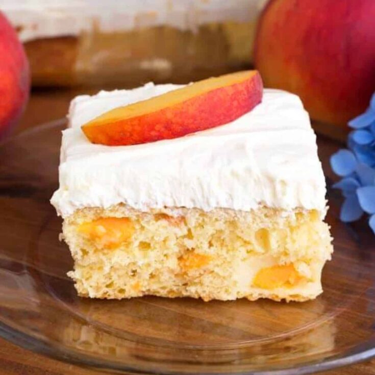 A slice of peach potluck cake