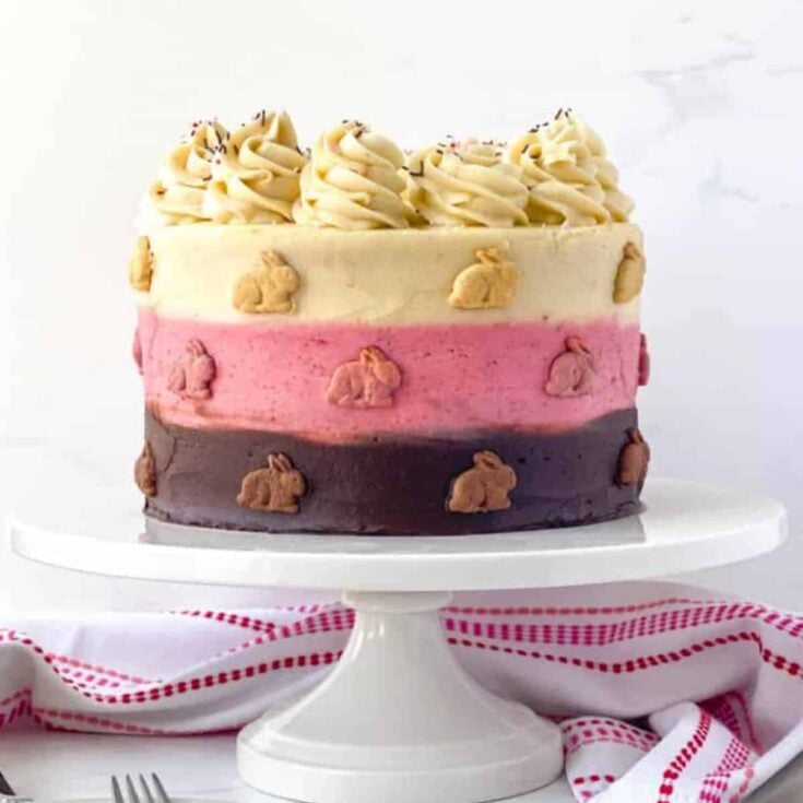 Neapolitan cake with little bunnies surrounding it