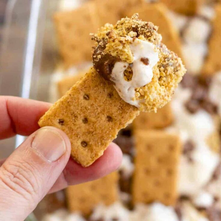 S'mores casserole made after reading these dessert dip recipes