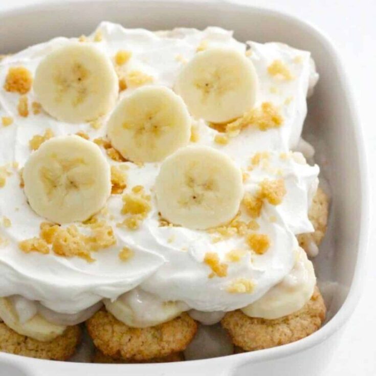 A bowl of southern vegan banana pudding