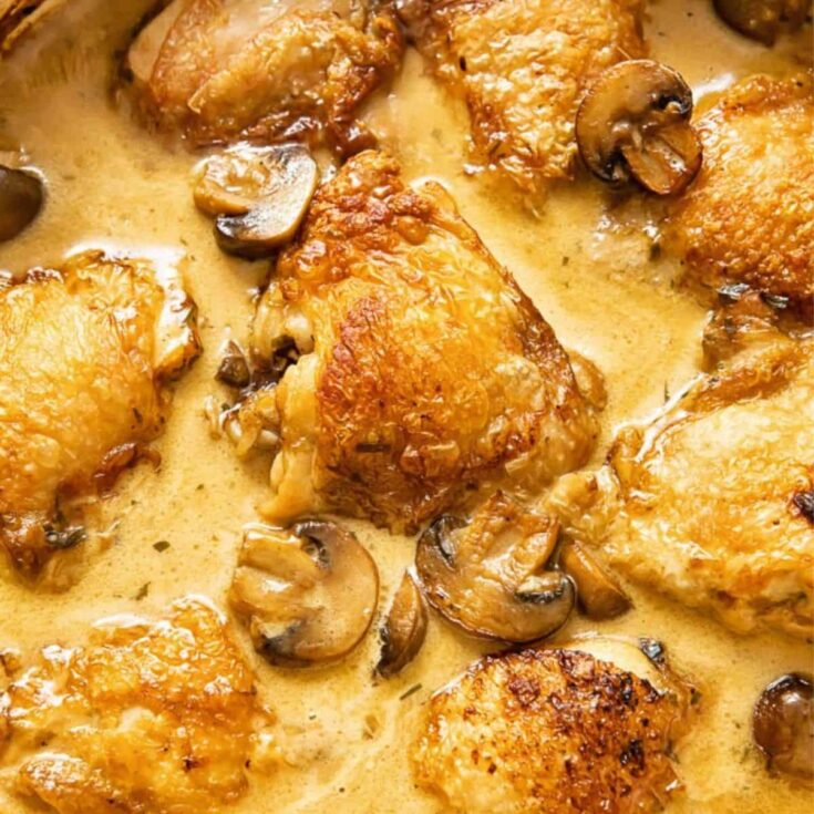 Chicken fricassee
