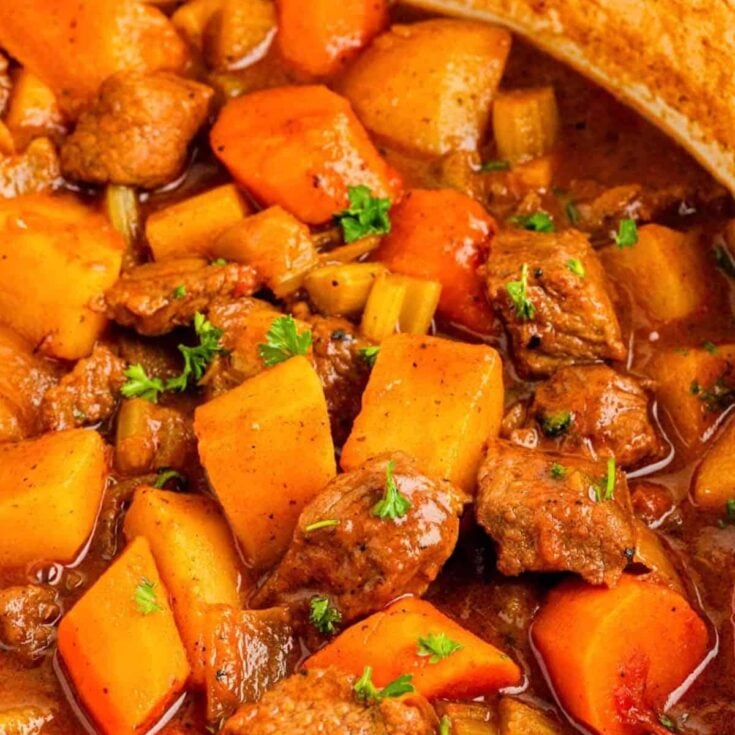Hawaiian beef stew