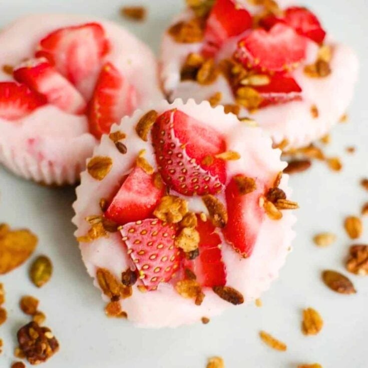 Frozen yogurt granola bites