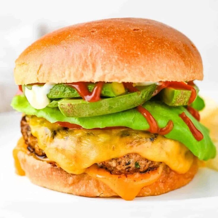 Ground chicken burger