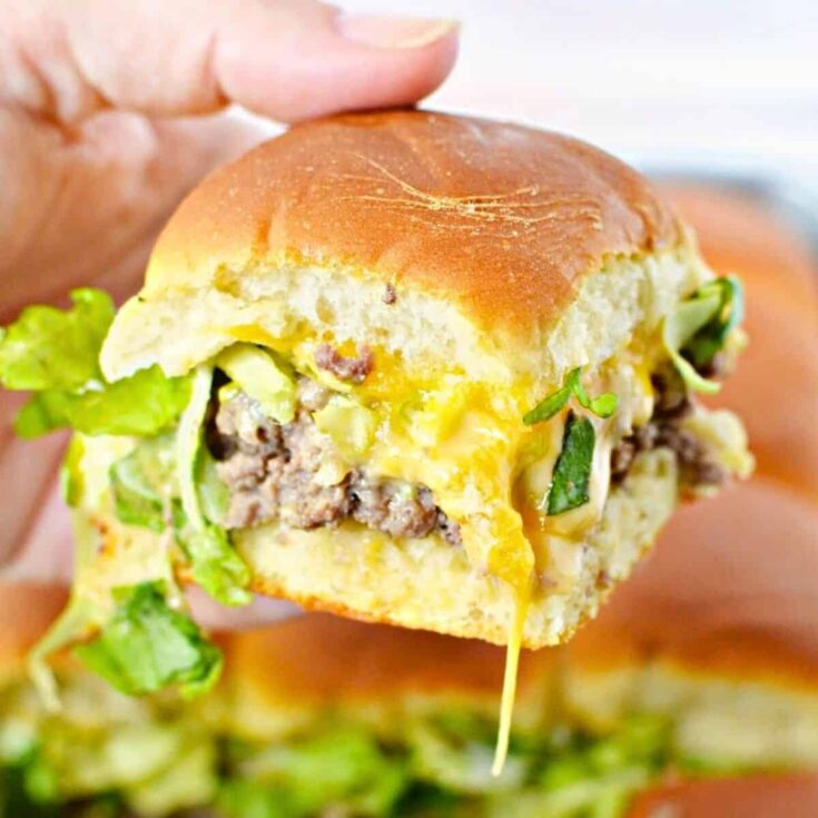 Hawaiian roll sliders