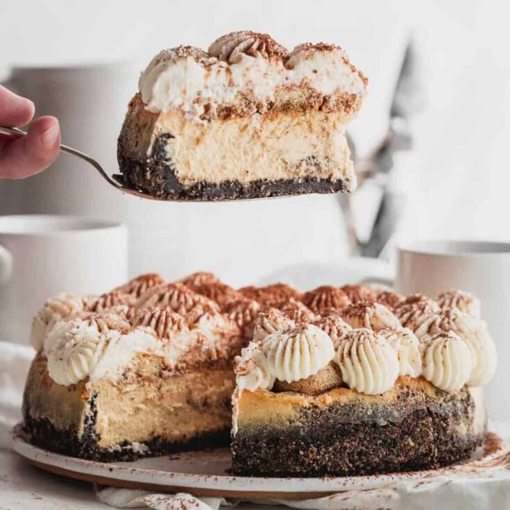 Tiramisu cheesecake made after reading these Italian desserts