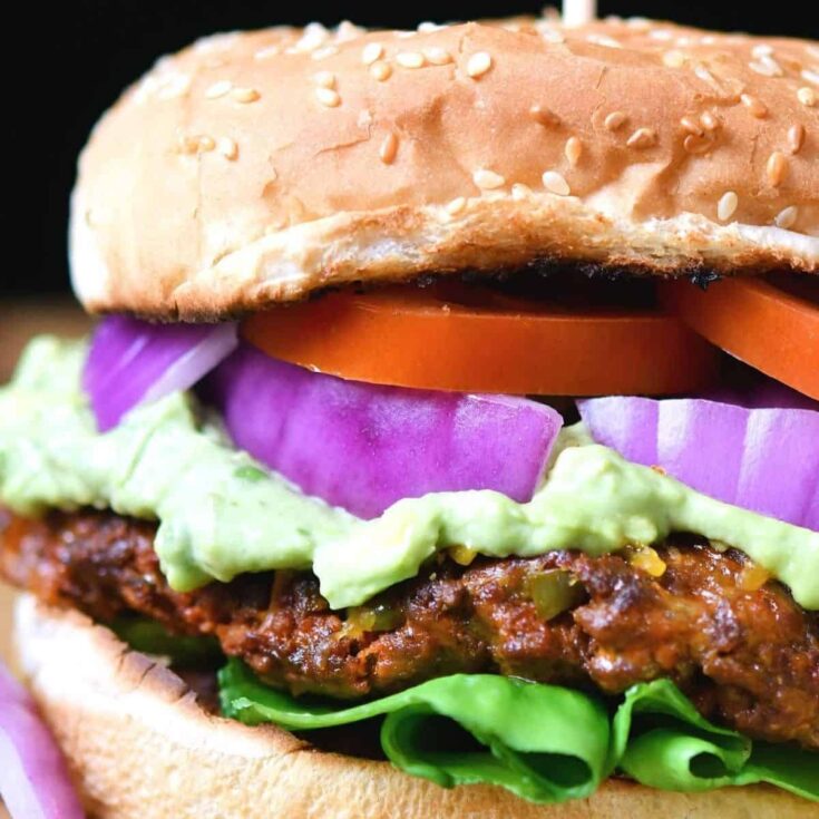 Venison burger with chorizo cheddar and jalapeno
