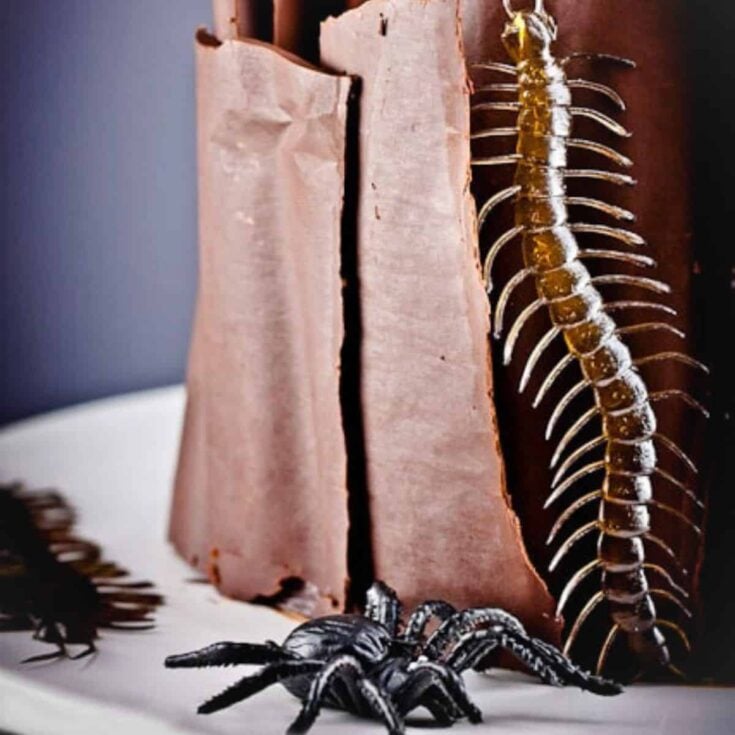 Black Forest cake with centipede and spider gummy candies