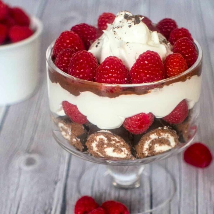 Chocolate raspberry trifle made after reading these Christmas trifle recipes