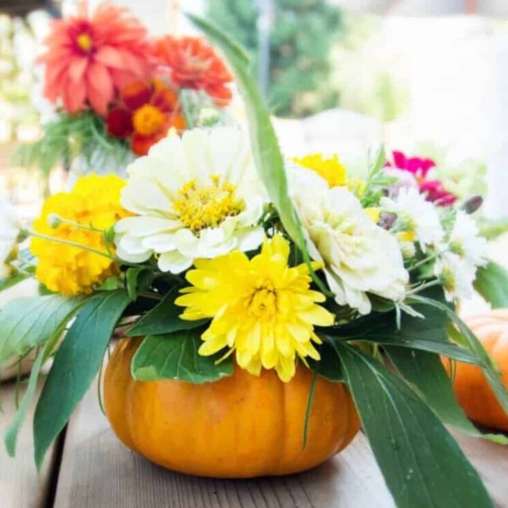 a fresh pumpkin vase holding fresh flowers