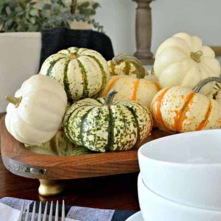 seven different colored pumpkins on a thrifted mirror