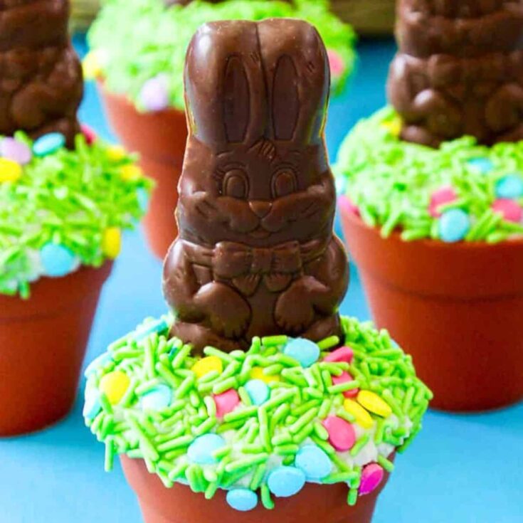 Chocolate bunny Easter cupcakes