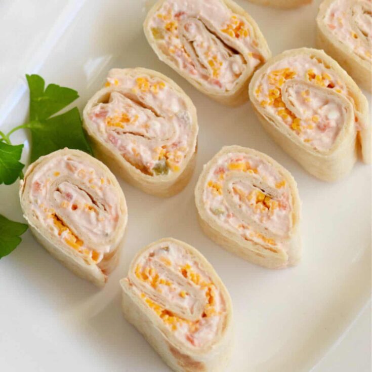 Easy salsa roll up