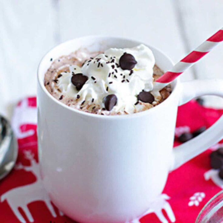 Peppermint cocoa made after reading these hot chocolate recipes