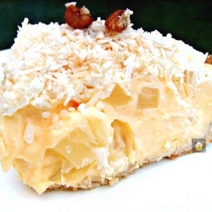 Tropical coconut pie on a plate