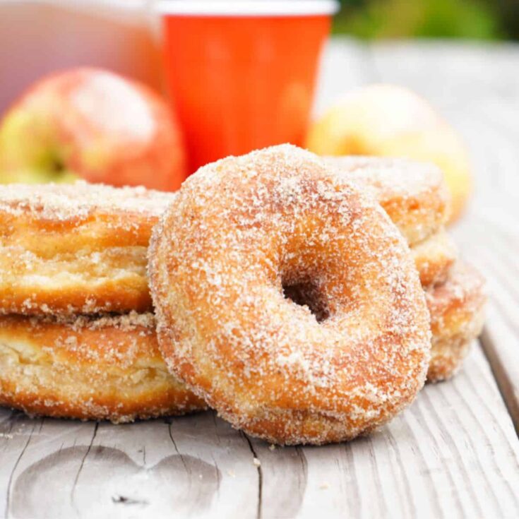 Apple pie spice donuts made after reading these Campfire desserts