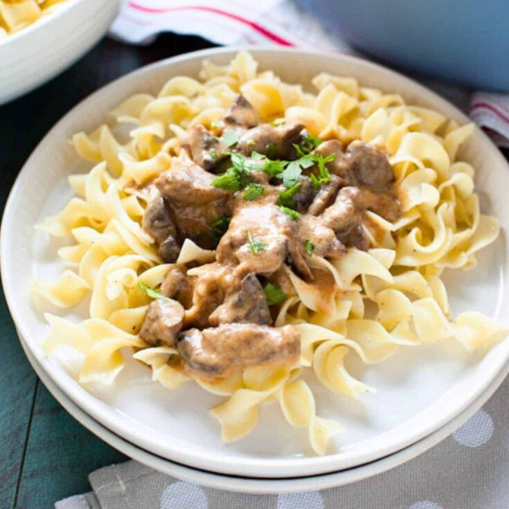 A plate of beef stroganoff with buttered noodles made after reading these 80s nostalgia food
