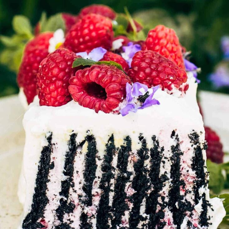 A slice of chocolate raspberry icebox cake