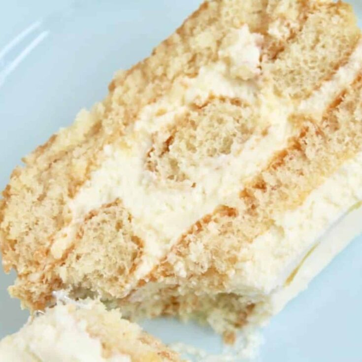 A slice of no bake Limoncello tiramisu