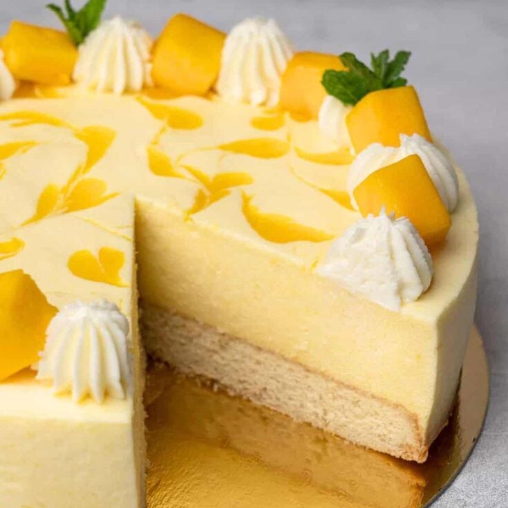 Mango mousse cake made after reading these Summer cake recipes
