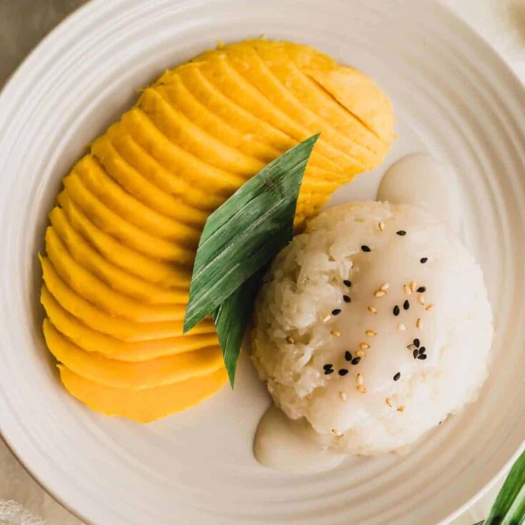 One serving of mango sticky rice