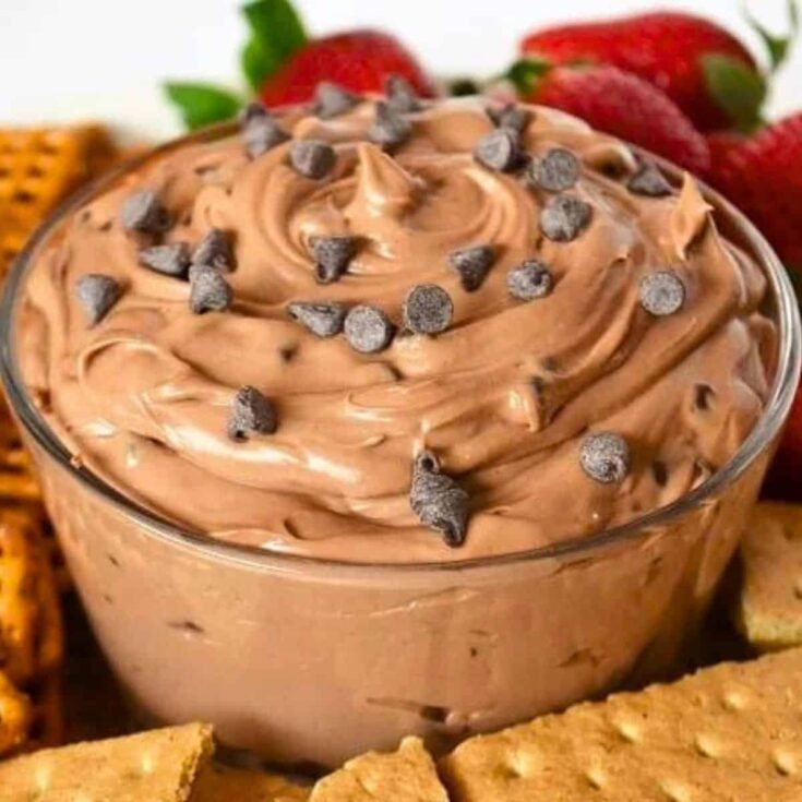 A bowl of Nutella cheesecake dip with chocolate chips
