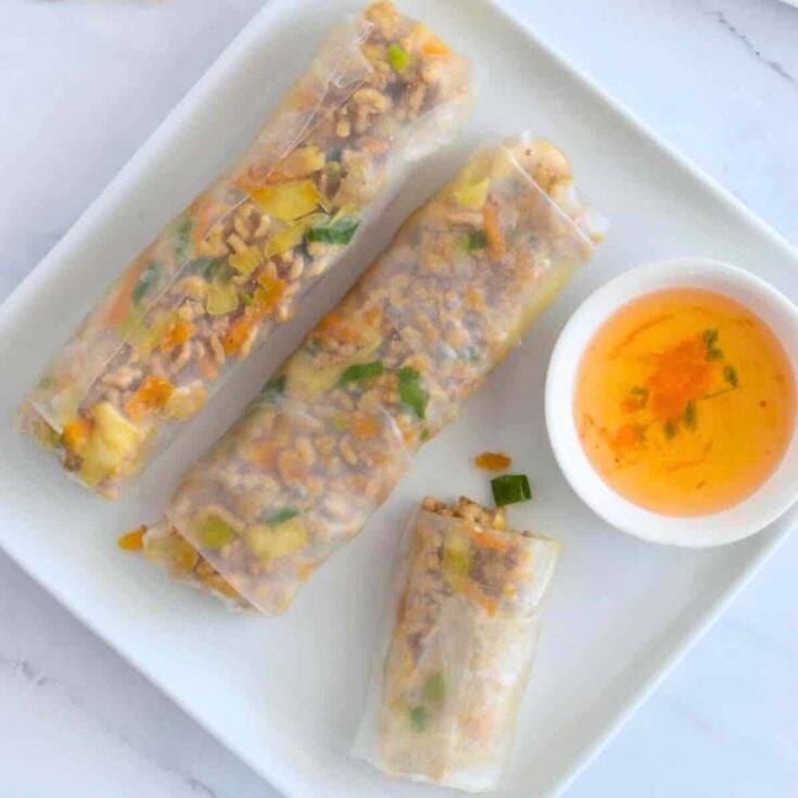 Pork Vietnamese spring rolls on a plate