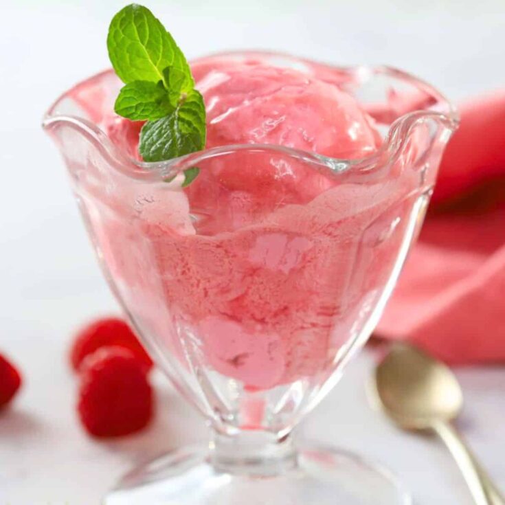 A cup of raspberry sherbet