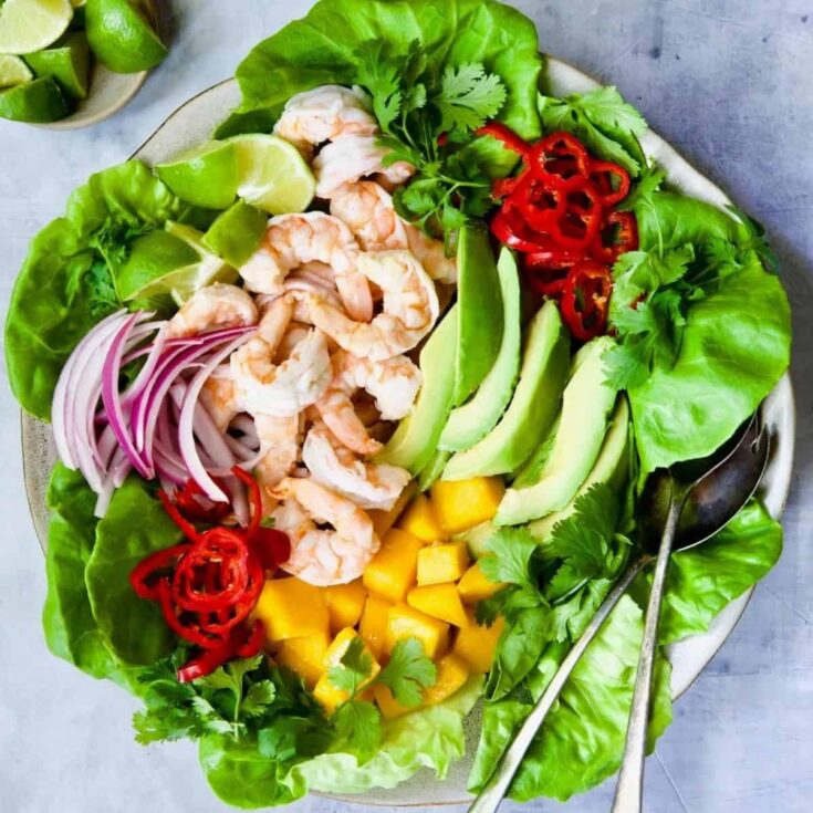 A plate of shrimp mango avocado salad